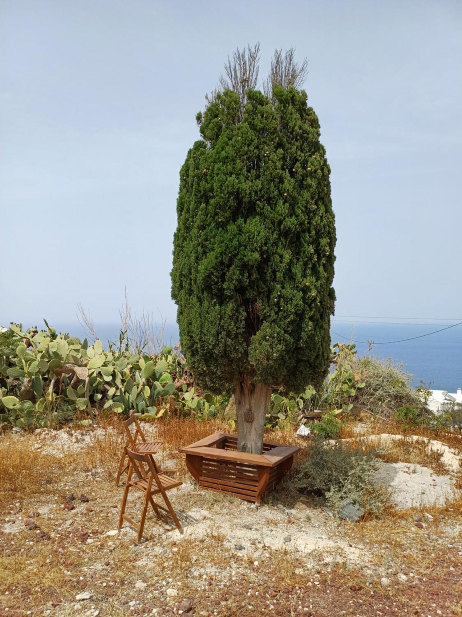 'Irene' Cycladic House With Sunrise And Sea View! Βίλα Φοινικιά Εξωτερικό φωτογραφία